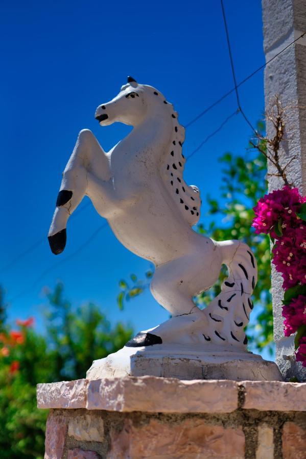 Villa Roel Sarandë Exterior foto